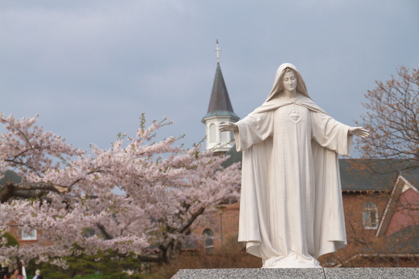 桜三昧！！　　道南の旅　一日目　～～～（＾＾）_e0213873_20205360.jpg