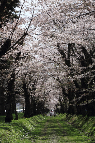 e0213873_2111415.jpg