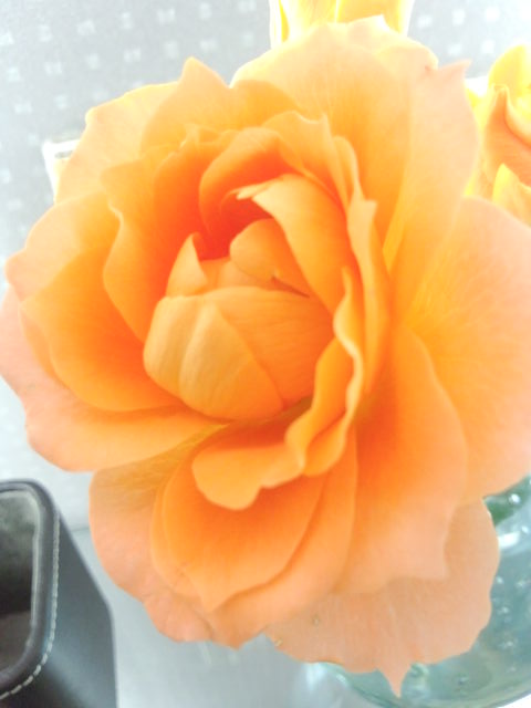 c0154878_19473363.jpg