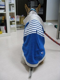 たべものの恨み!_c0245679_1872113.jpg