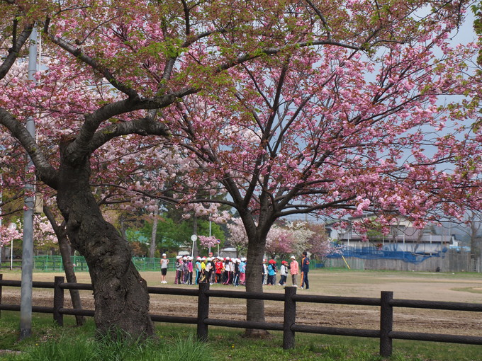 芦野公園_c0171980_185944.jpg