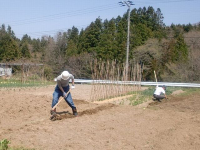 5/8 畑仕事をはじめました_b0245781_12244483.jpg