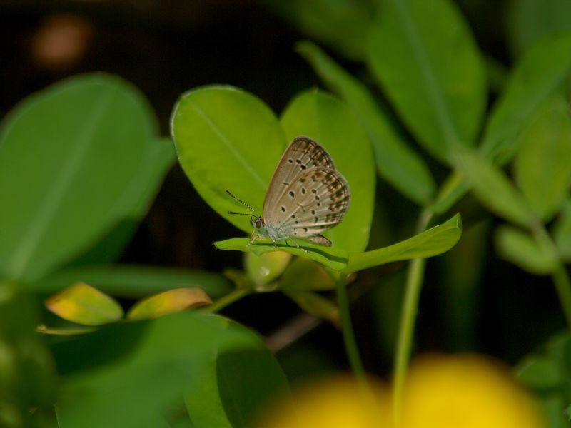 b0108186_11154762.jpg