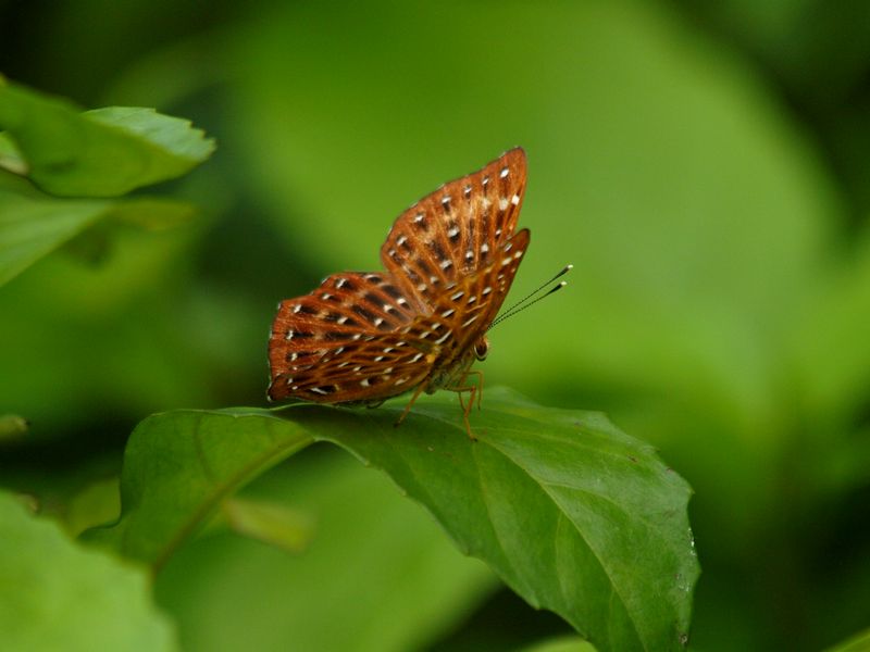 b0108186_11304742.jpg