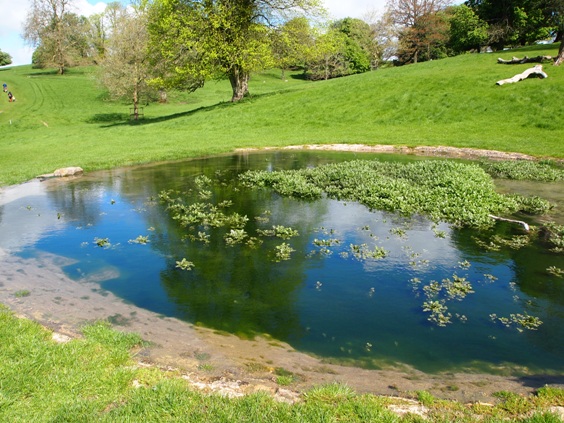 c0132488_1734481.jpg