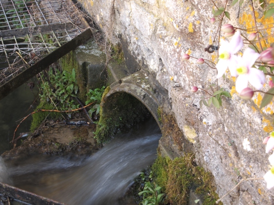 c0132488_1742338.jpg