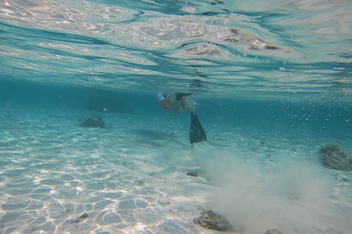 e0160595_1621433.jpg