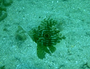 f0079996_18362391.jpg