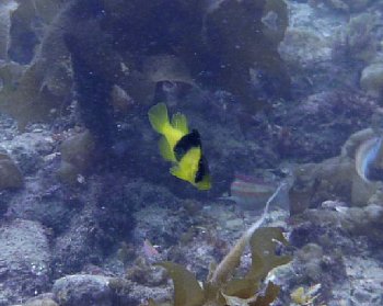 f0079996_18371777.jpg