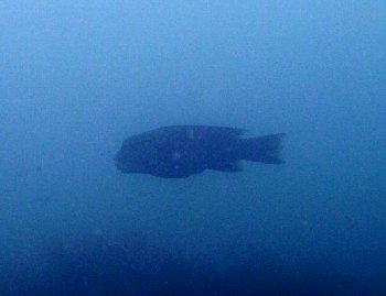 f0079996_18375758.jpg