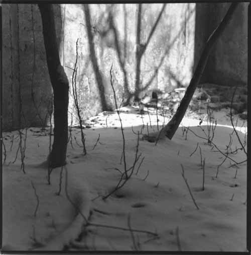 ＳＮＯＷＹ_f0173596_13512033.jpg