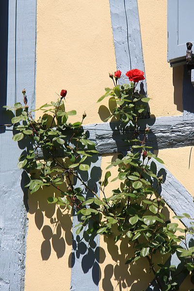 c0090198_32561.jpg