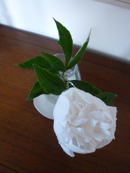 f0191500_819751.jpg