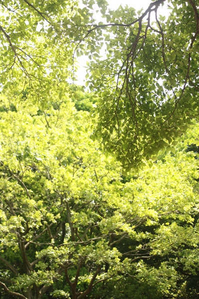 f0218002_16545850.jpg