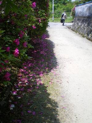 花の寺・長岳寺_f0206605_1944983.jpg