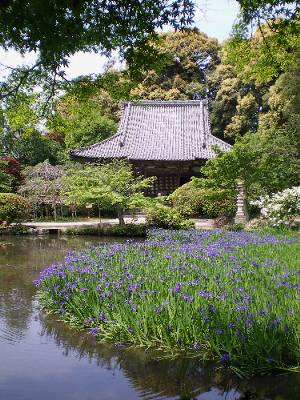 花の寺・長岳寺_f0206605_19453844.jpg