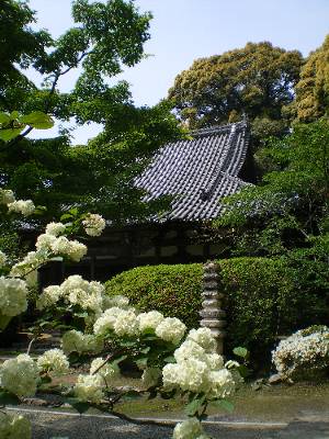 花の寺・長岳寺_f0206605_19471719.jpg