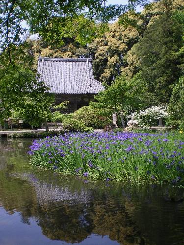 花の寺・長岳寺_f0206605_19473796.jpg