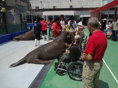 二見シーパラダイスへ!!_a0154110_16102621.jpg