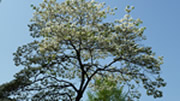 d0019913_0425854.jpg