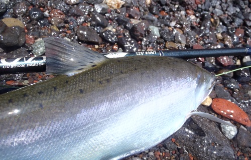 2012 中禅寺湖釣行! vol.5_a0236914_9462022.jpg