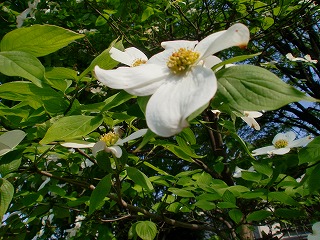 圧力鍋のお料理教室_c0200917_8226.jpg