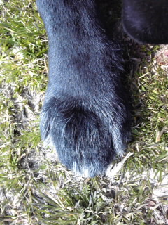 c0240318_13433698.jpg