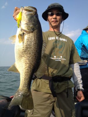 5月16日水曜日。_e0100021_22191875.jpg