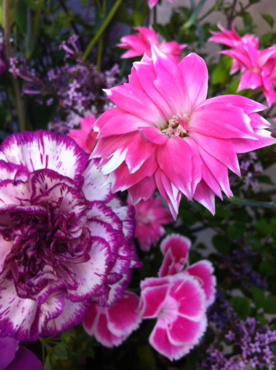 今週のお花_a0200423_20402773.jpg