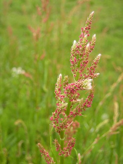 f0165730_20582058.jpg