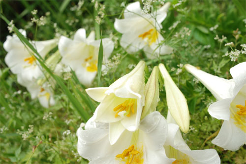f0229844_215742.jpg