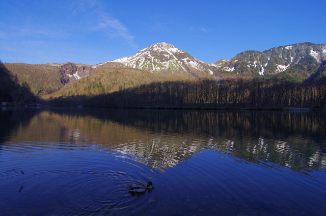 d0186245_1425487.jpg