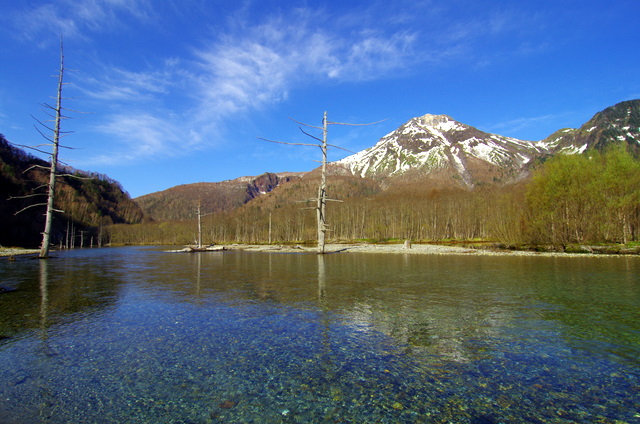 d0186245_14261147.jpg