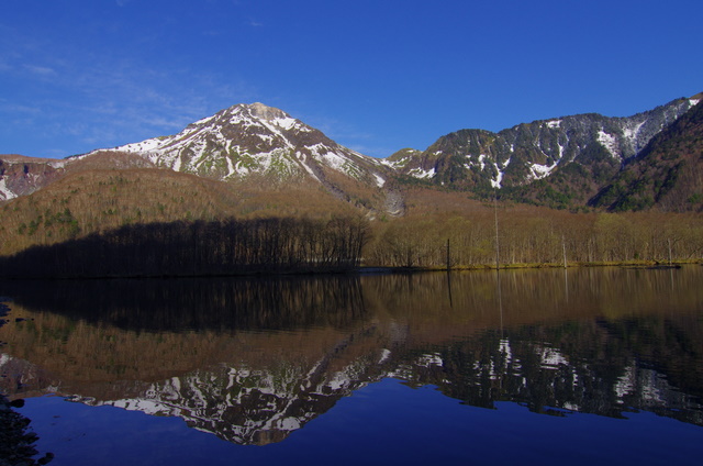 d0186245_14271791.jpg