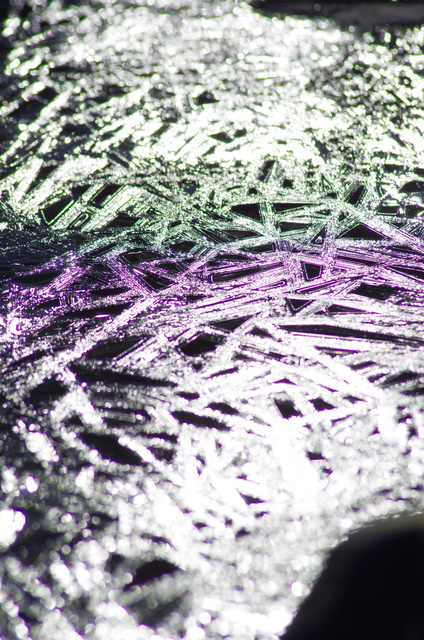 d0186245_14282515.jpg
