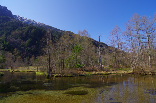d0186245_1430177.jpg