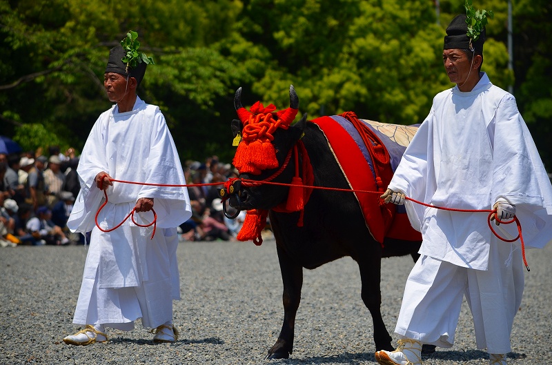 「葵祭」2012年・晴天（更新）_e0237645_15202312.jpg