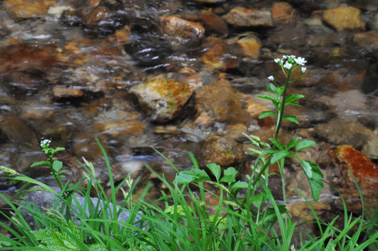 c0093046_18204.jpg