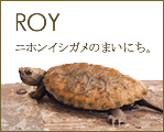 FAMILY_d0124248_2218537.jpg
