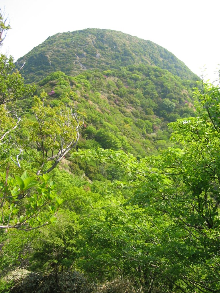 雲仙普賢岳新登山ルート（2012/05/12）_e0026054_025021.jpg
