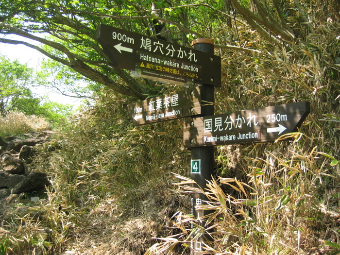 雲仙普賢岳新登山ルート（2012/05/12）_e0026054_0341462.jpg