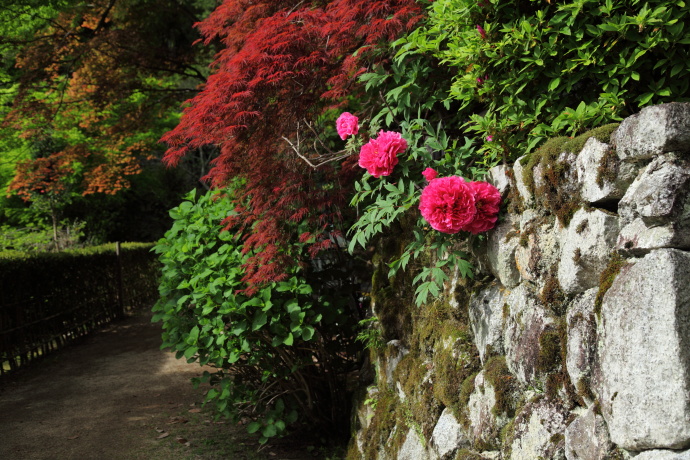 船宿寺_a0176855_22145094.jpg