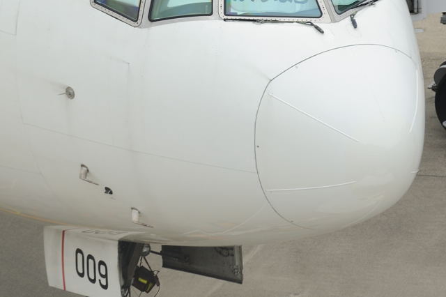Ana機体メンテナンスセンターへ 蜜蜂的写真日記