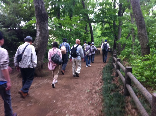 青葉まぶしい上水沿いへ♪　～玉川上水を歩いてきました！_f0230467_3164585.jpg