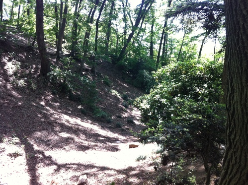 f0230467_34215.jpg