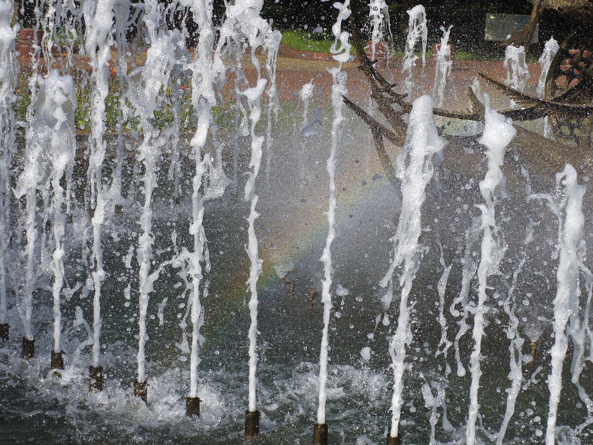 b0084270_0131687.jpg