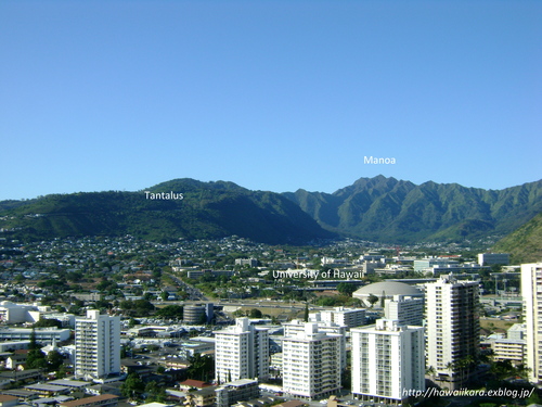 e0277172_1955998.jpg
