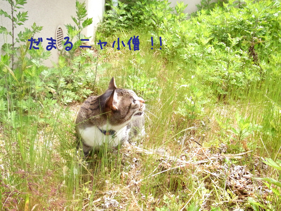 c0126176_15271380.jpg