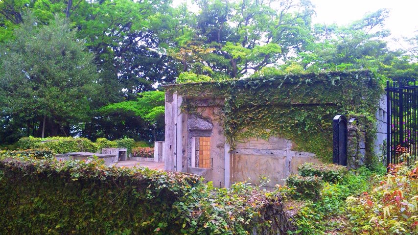c0154876_12505522.jpg