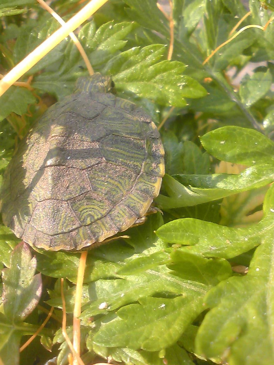 a0206984_19502367.jpg